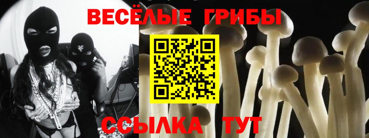 дарнет шоп  Вход с VPN  Чистополь  Галлюциногенные грибы прущие грибы  Псилоцибиновые грибы Psilocybe 